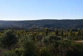 Zalamea la Real 117000000&nbsp;m² 