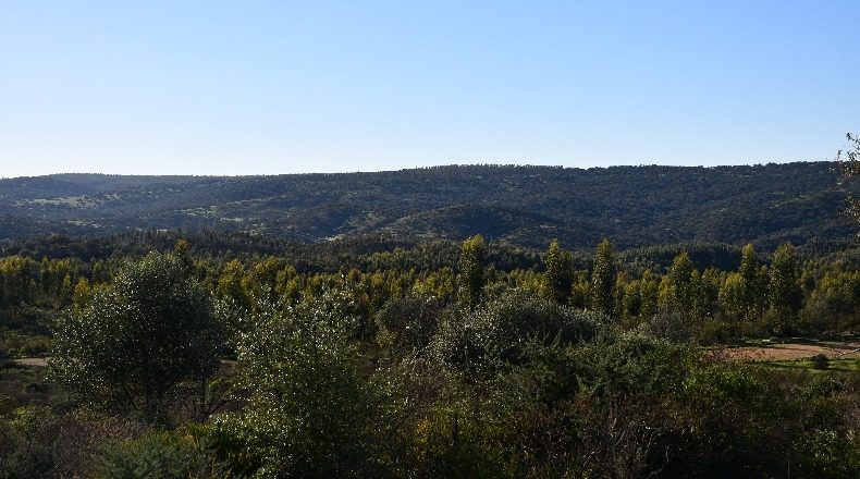 Huelva - Zalamea la Real - 117000000m2