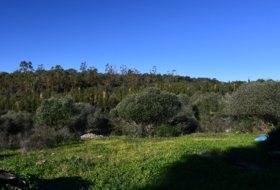 Zalamea la Real 117000000&nbsp;m² 