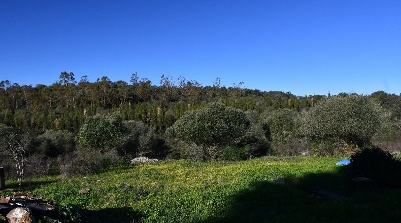 Huelva - Zalamea la Real - 117000000m2