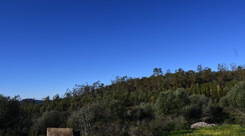 Huelva - Zalamea la Real - 117000000m2