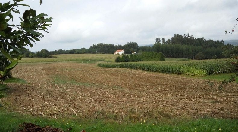 La Coruna - Irixoa - 6540m2