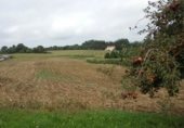 Land suitable for development for sale on Tiulfe, Irixoa, ref: TR328916 photo