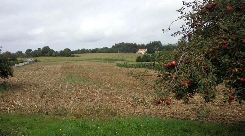 La Coruna - Irixoa - 6540m2