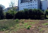 Non-developable land for sale on Camiño do Toxo, Ferrol, ref: TR329021 photo