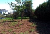 Non-developable land for sale on Camiño do Toxo, Ferrol, ref: TR329021 photo