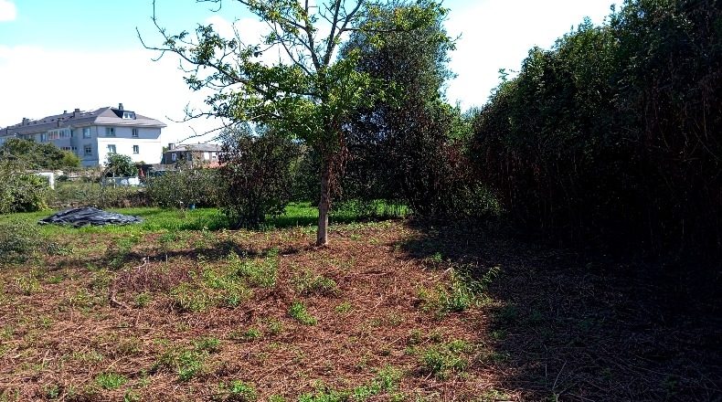 La Coruña - Ferrol - 500m2