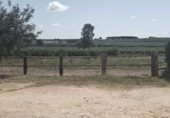 Rural estate for sale on Calle Jacaranda, Bollullos de la Mitación, ref: TR329074 photo
