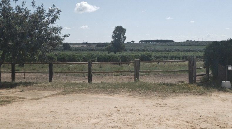 Sevilla - Bollullos de la Mitación - 180000m2