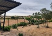 Chalet independiente con terreno en venta en la Carretera de Ledesma, Almenara de Tormes, ref: TR329410 foto