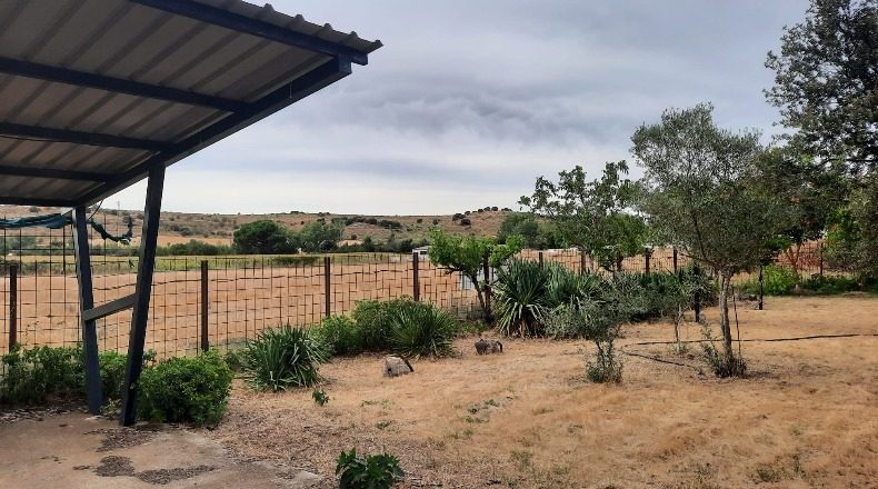 Salamanca - Almenara de Tormes - 16082m2