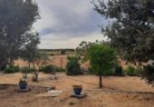Chalet independiente con terreno en venta en la Carretera de Ledesma, Almenara de Tormes, ref: TR329410 foto