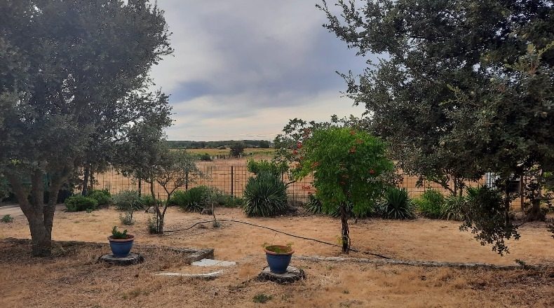 Salamanca - Almenara de Tormes - 16082m2