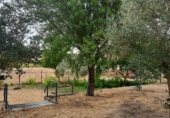 Chalet independiente con terreno en venta en la Carretera de Ledesma, Almenara de Tormes, ref: TR329410 foto