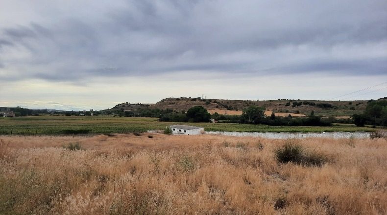 Salamanca - Almenara de Tormes - 16082m2