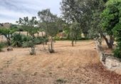 Chalet independiente con terreno en venta en la Carretera de Ledesma, Almenara de Tormes, ref: TR329410 foto