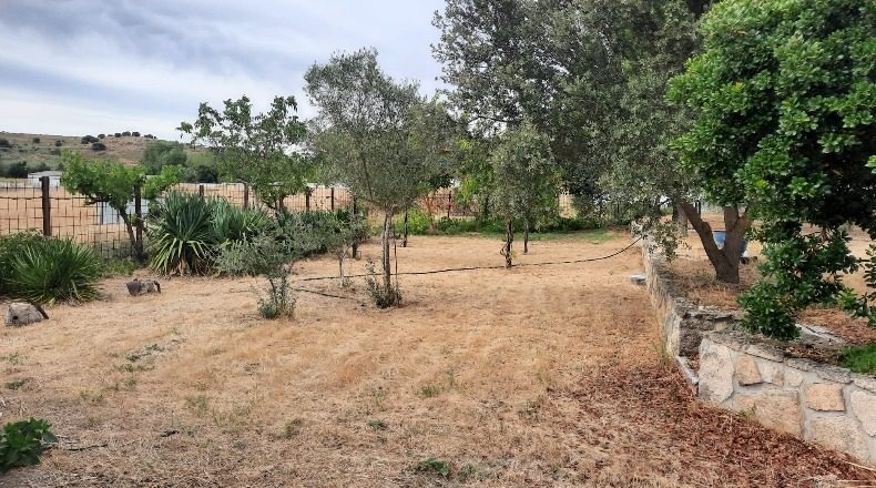 Salamanca - Almenara de Tormes - 16082m2