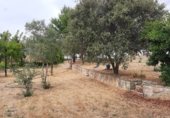 Chalet independiente con terreno en venta en la Carretera de Ledesma, Almenara de Tormes, ref: TR329410 foto