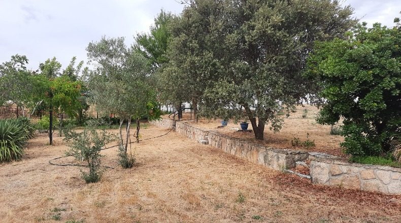 Salamanca - Almenara de Tormes - 16082m2