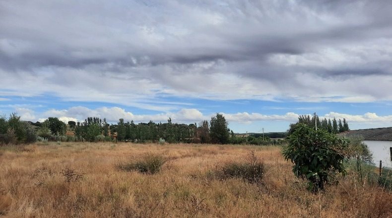 Salamanca - Almenara de Tormes - 16082m2