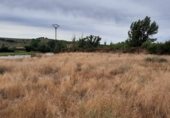 Chalet independiente con terreno en venta en la Carretera de Ledesma, Almenara de Tormes, ref: TR329410 foto