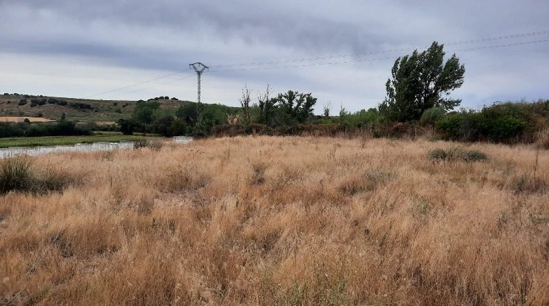 Salamanca - Almenara de Tormes - 16082m2