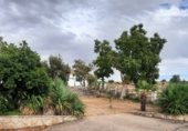 Chalet independiente con terreno en venta en la Carretera de Ledesma, Almenara de Tormes, ref: TR329410 foto