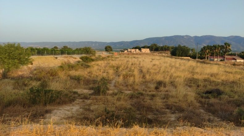 Murcia - Las Lentiscosas - 3336m2