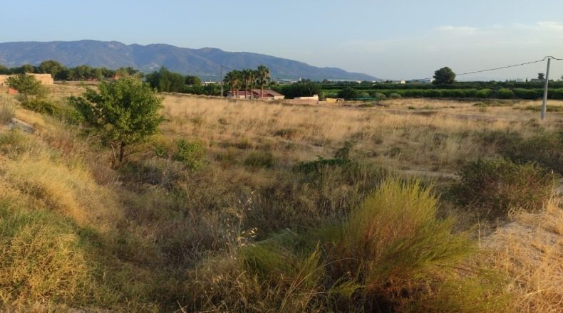 Murcia - Las Lentiscosas - 3336m2