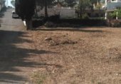 Parcel·la urbanitzable en venda a la Camí del Mas de Salort, el Catllar, ref.: TR329567 foto