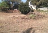 Parcel·la urbanitzable en venda a la Camí del Mas de Salort, el Catllar, ref.: TR329567 foto