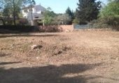 Parcel·la urbanitzable en venda a la Camí del Mas de Salort, el Catllar, ref.: TR329567 foto