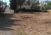 Parcel·la urbanitzable en venda a la Camí del Mas de Salort, el Catllar, ref.: TR329567 foto