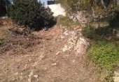 Parcel·la urbanitzable en venda a la Camí del Mas de Salort, el Catllar, ref.: TR329567 foto