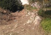 Parcel·la urbanitzable en venda a la Camí del Mas de Salort, el Catllar, ref.: TR329567 foto
