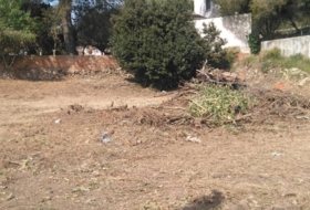 Foto 15