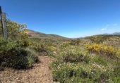 Земля на продажу у города Güéjar Sierra Фото