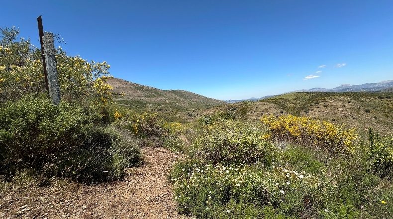 Granada - Güéjar Sierra - 20507m2