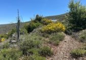 Земля на продажу у города Güéjar Sierra Фото