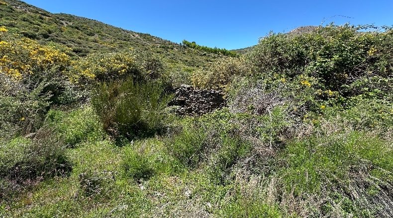 Granada - Güéjar Sierra - 20507m2