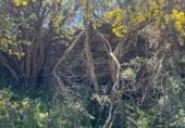 Земля на продажу у города Güéjar Sierra Фото