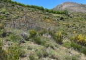 Земля на продажу у города Güéjar Sierra Фото