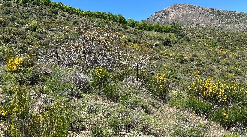 Granada - Güéjar Sierra - 20507m2