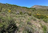 Земля на продажу у города Güéjar Sierra Фото