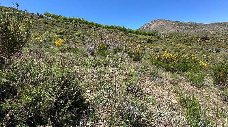 Granada - Güéjar Sierra - 20507m2