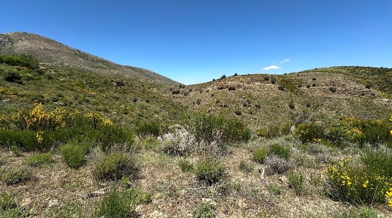 Granada - Güéjar Sierra - 20507m2