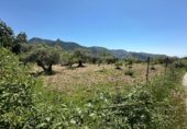 Non-developable land for sale on Calle Orilla Perales, Güéjar Sierra, ref: TR330594 photo