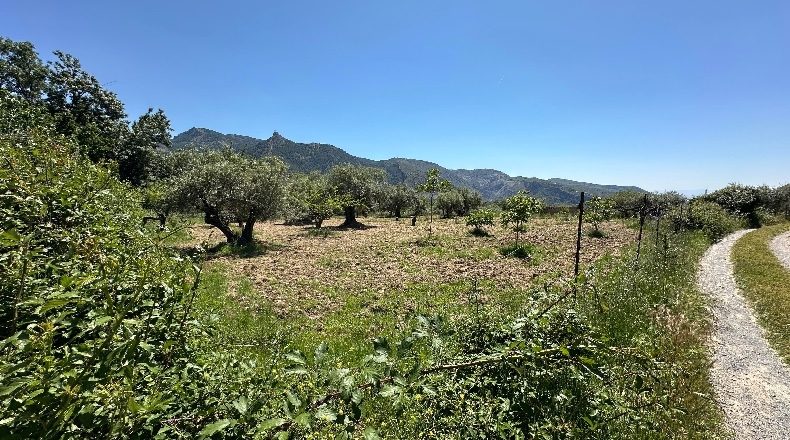 Granada - Güéjar Sierra - 3982m2