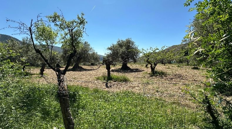 Granada - Güéjar Sierra - 3982m2