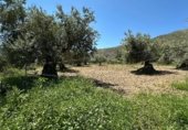 Non-developable land for sale on Calle Orilla Perales, Güéjar Sierra, ref: TR330594 photo
